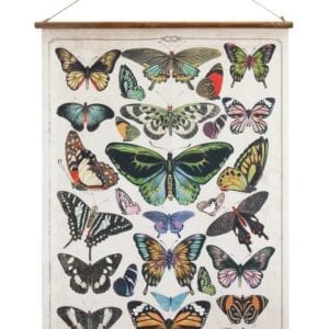 Butterfly Canvas Waco Texas Shopping
