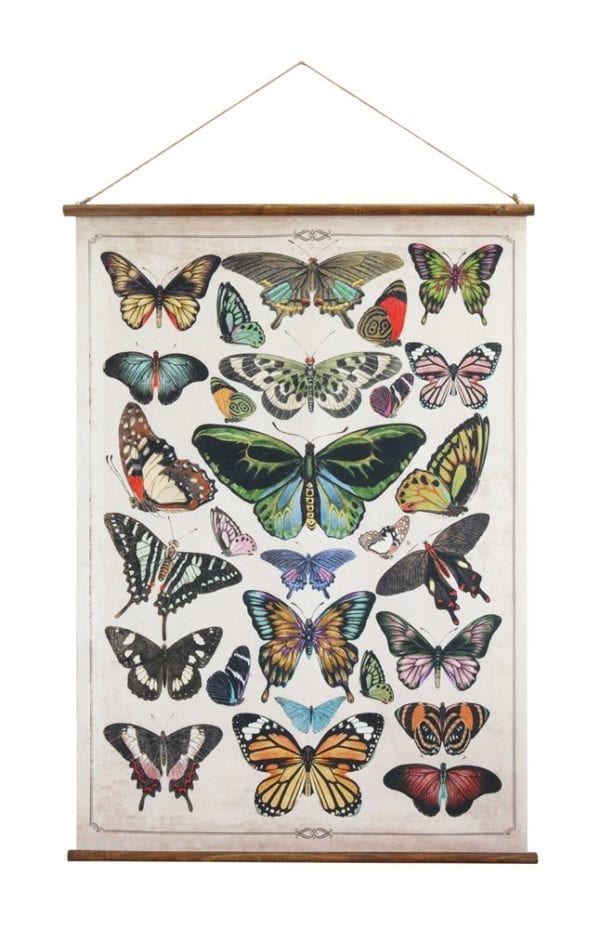 Butterfly Canvas Waco Texas Shopping