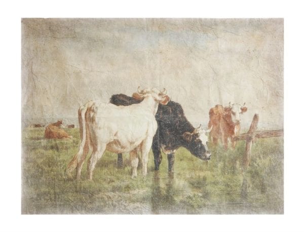 Vintage Cow Print Waco Antique Shopping